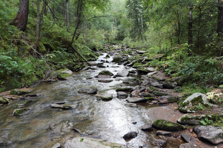 Belokurikha river on a summer day in the resort area of the Belokurikha city, Altai Territory, Russiaの写真素材