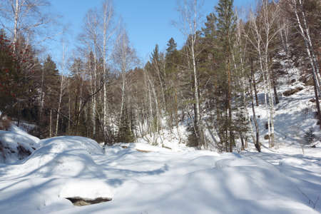 Belokurikha river on spring in the resort area of the Belokurikha city, Altai Territory, Russiaの写真素材