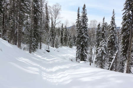 Snow trail to the top of Tulun-Tuu mountain, Altai Republic, Russiaの写真素材