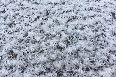 Freezing of the surface of the reservoir, background, Lake Manzherok, Altai Territory, Russiaの写真素材