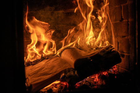 burning notebook weekly in the fireplace, last year, horizontal