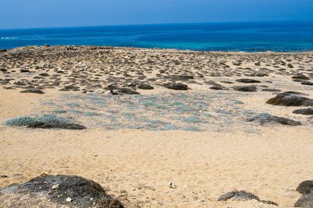 Mediterranean Sea