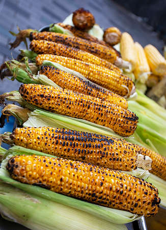 happy jack russell terrier eating pink ice cream from owner's hands. Walkの写真素材
