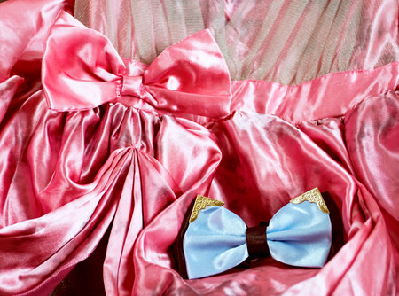 bow bow bride and groom