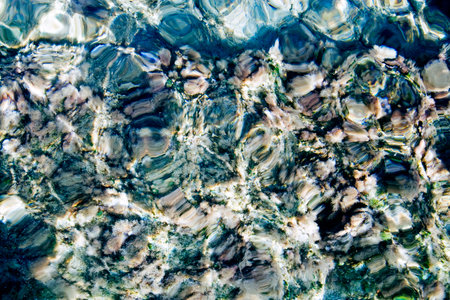Seabed with rocks and seaweed in the Mediterranean Seaの写真素材