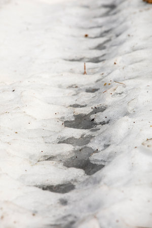 rozen tire track on a snowy road, road blocking verticalの写真素材