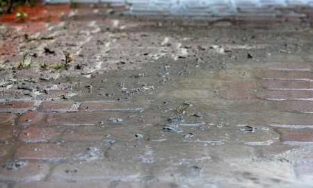 wash garden paths after floods in Europe, horizontal