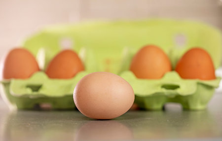 close-up of a simple light-colored egg lies near brown eggs in a light green container. Preparation...