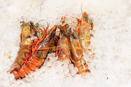 fresh lobsters covered with ice cubes on the counter of the storeの写真素材