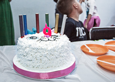 beautiful cake in the form of a cat and on a children's birthday with the number 9. children's party