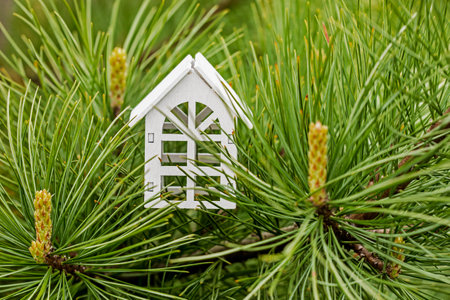 wooden house between the branches of a Christmas tree. Festive moodの写真素材