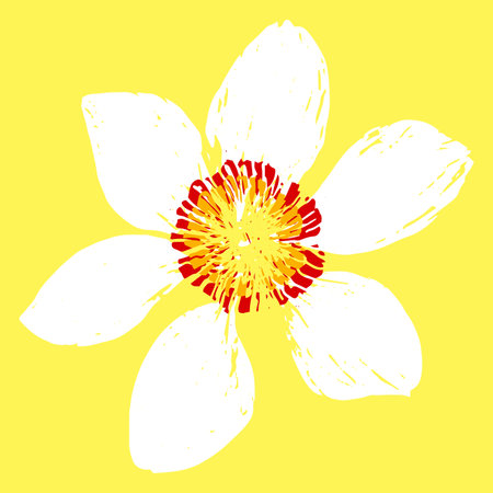 beautiful white daffodil flower with yellow-red center hand drawn on a yellow background, vector illustrationのイラスト素材
