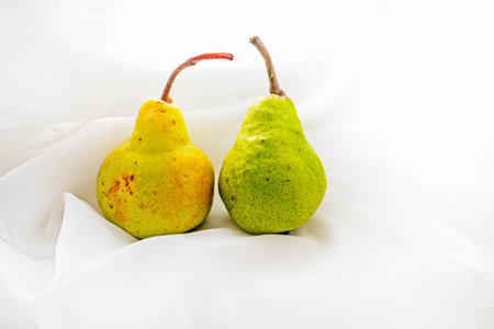 two appetizing fresh pears on a light fabric background. healthy foodの写真素材