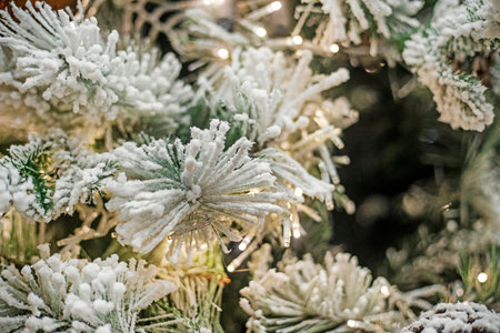 christmas background made of christmas tree covered with snowの写真素材
