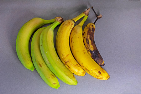 three bunches of bananas from overripe to green on a gray backgroundの写真素材
