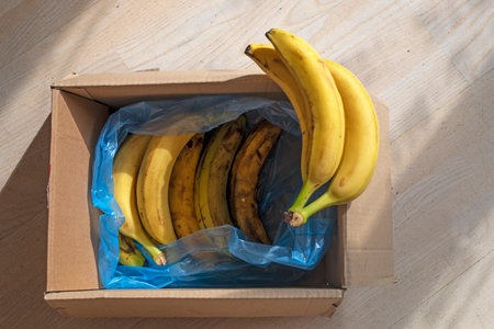 craft box with bananas illuminated by the sun. flatlayの写真素材