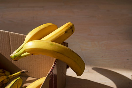 craft box with bananas illuminated by the sun. flatlayの写真素材