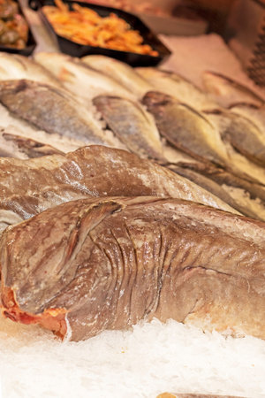 different varieties of fish on the counter in a supermarket