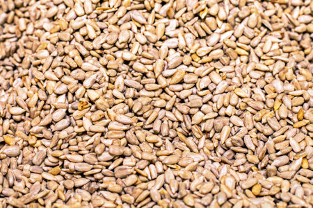 background of ripe peeled sunflower seeds. Vegan foodの写真素材