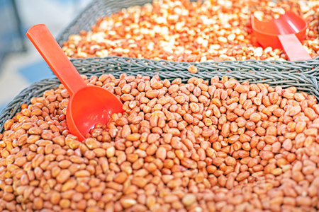 abstract background of ripe peeled peanuts in bulk in a supermarketの写真素材