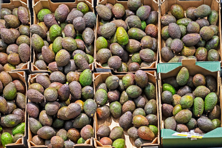 ripe avocados in cardboard containers in a supermarket. Top viewの写真素材
