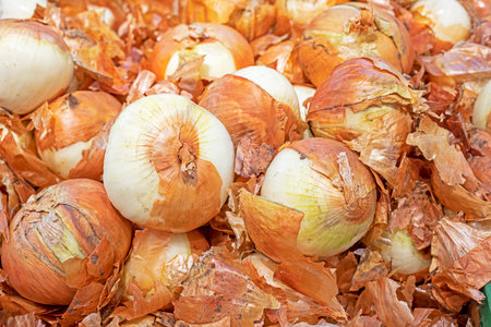 peeled white onions in containers in the supermarket. Vitamins and youthの写真素材