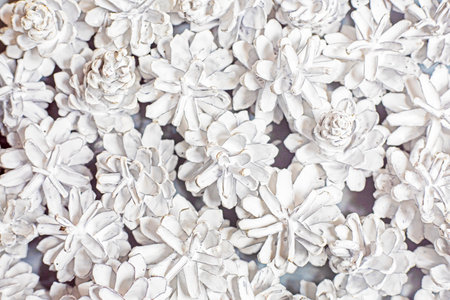 festive background made of natural pine cones painted white. preparation for the New Year and Christmasの写真素材