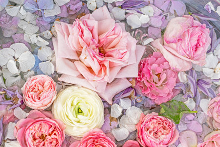 fresh beautiful pink and white roses in water. Wedding, holiday decoration, femininityの写真素材