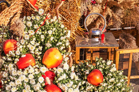Red ripe apples Idared on a straw mat with white chrysanthemums. Autumn. Halloweenの写真素材