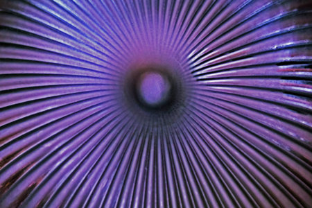 abstract patterned ceramic dark background