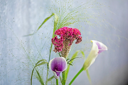 exotic flowers in a glass vase on a gray background. Interior and decorationsの写真素材