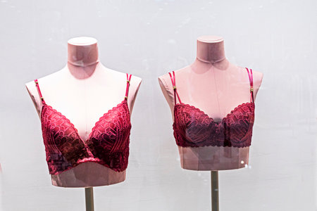 burgundy bras on female mannequins. Stylish fashionable casual clothesの写真素材