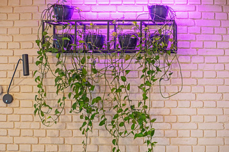 live flowers with backlighting in the interior in the loft style. Modern interior