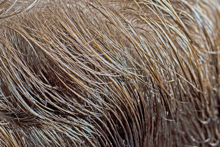A close-up view of hair texture.