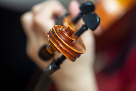 left hand position on the violin. Correct hand and finger position on a musical instrumentの写真素材