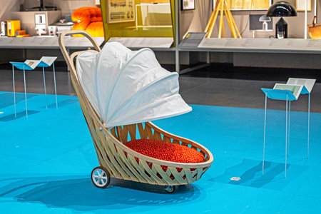stylish eco stroller for pets on a light background