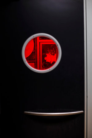 stylish designer door in a public place in a cafeの写真素材