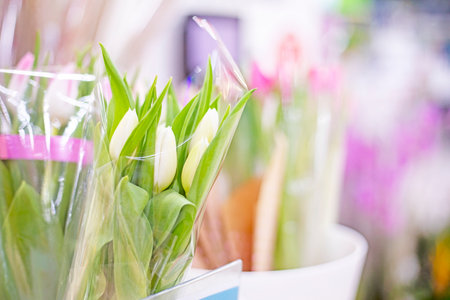 huge bouquet of yellow, red, crimson, orange tulips. Women's Day. Holiday. Growing flowersの写真素材