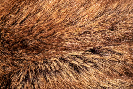 noble background with faux fur