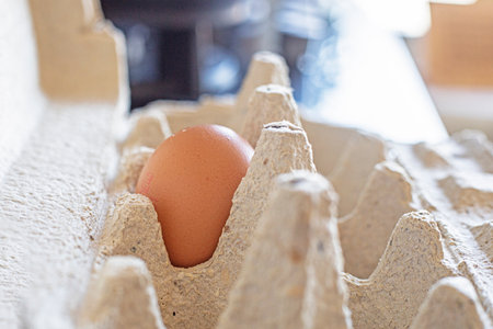 one brown chicken egg in a cardboard container. Savings and budget. Inflationの写真素材