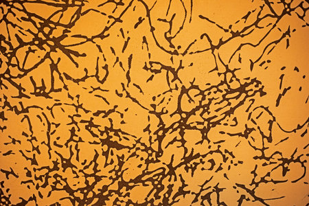 abstract fashionable surface in a modern interior.color of the year