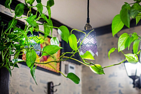decorative flowers in the interior of a cafeの写真素材