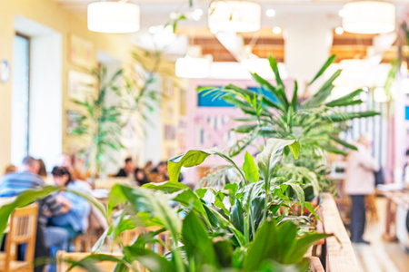 decoration with live indoor flowers in the interior of public catering. Ecodesignの写真素材