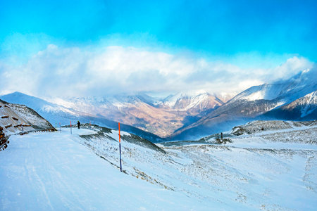 slope strengthening at an italian ski resort in the alpsの写真素材
