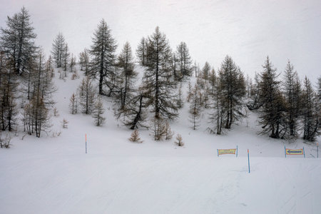 fog and snow on the top of a ski slope with reflective signs. Active Leisure and Safetyの写真素材