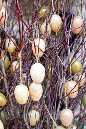 Easter natural eggs on pussy willow branches. Easter