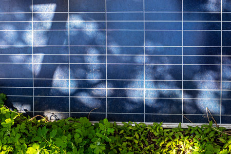 solar panel near green grass on a sunny day. Solar energy. Earth Day