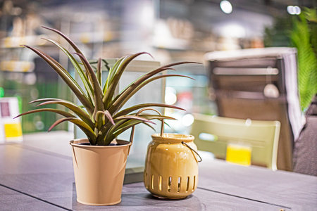 artificial flower tilandsia with decorative lantern on table outsideの写真素材