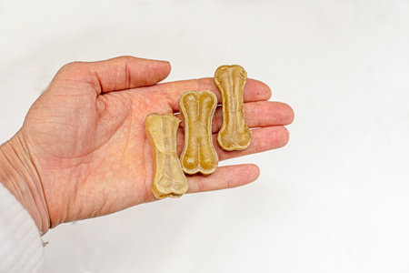holding in palms tasty treats in the form of turkey and beef bones for puppies and adult dogs. pet careの写真素材