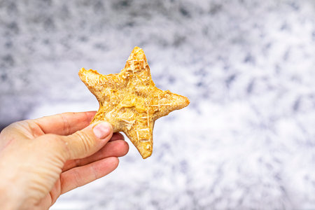 keep treats in the form of a star with mixed meat for puppies and adult dogs. caring for pets. friends day. animal dayの写真素材